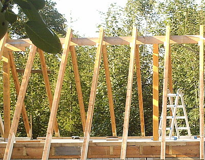 HPIM0121.jpg 